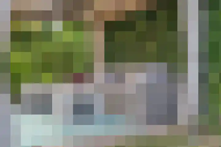 Land van Ravensteinstraat 65 Uden thumbnail 41