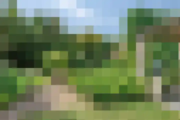 Land van Ravensteinstraat 65 Uden thumbnail 42
