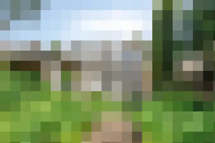 Land van Ravensteinstraat 65 Uden thumbnail 45