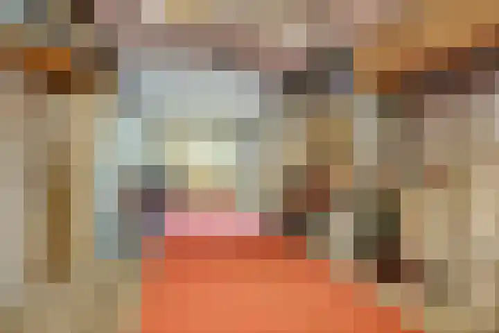 Land van Ravensteinstraat 65 Uden thumbnail 48