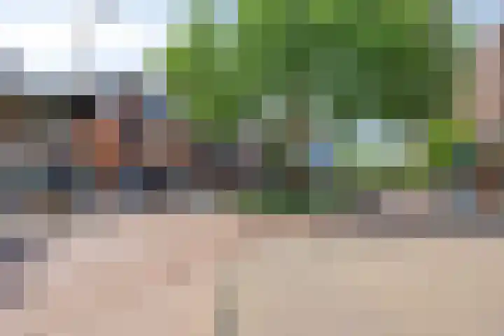 Land van Ravensteinstraat 65 Uden thumbnail 54