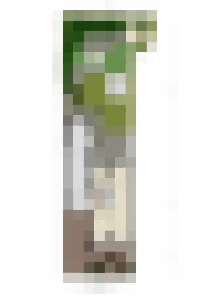 Land van Ravensteinstraat 65 Uden thumbnail 56