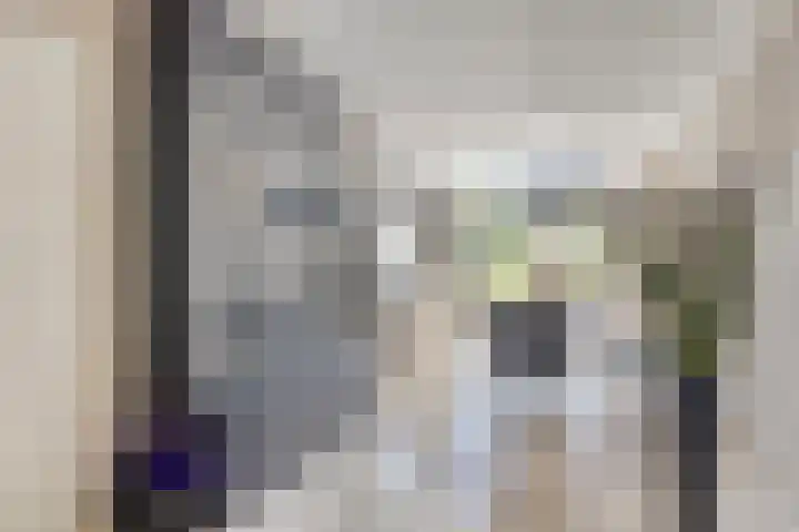 Land van Ravensteinstraat 65 Uden thumbnail 6