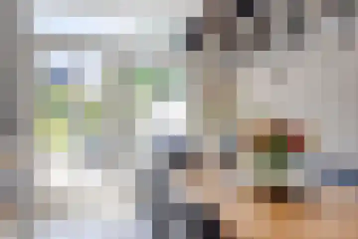 Land van Ravensteinstraat 65 Uden thumbnail 7