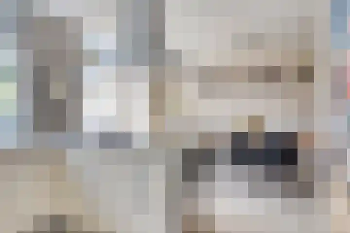Land van Ravensteinstraat 65 Uden thumbnail 8