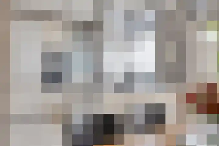 Land van Ravensteinstraat 65 Uden thumbnail 9