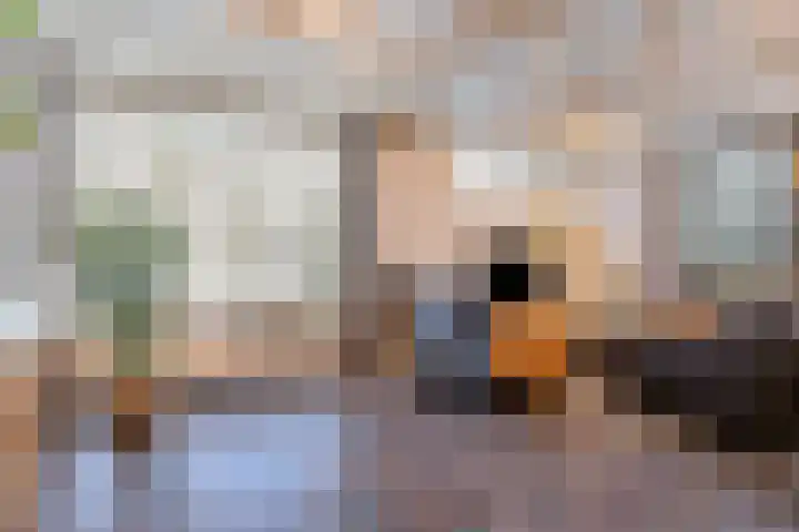 Land van Ravensteinstraat 7 Uden thumbnail 12