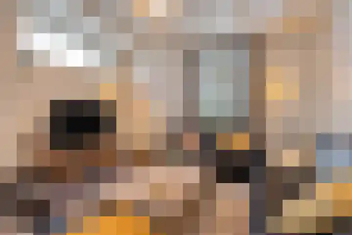 Land van Ravensteinstraat 7 Uden thumbnail 13