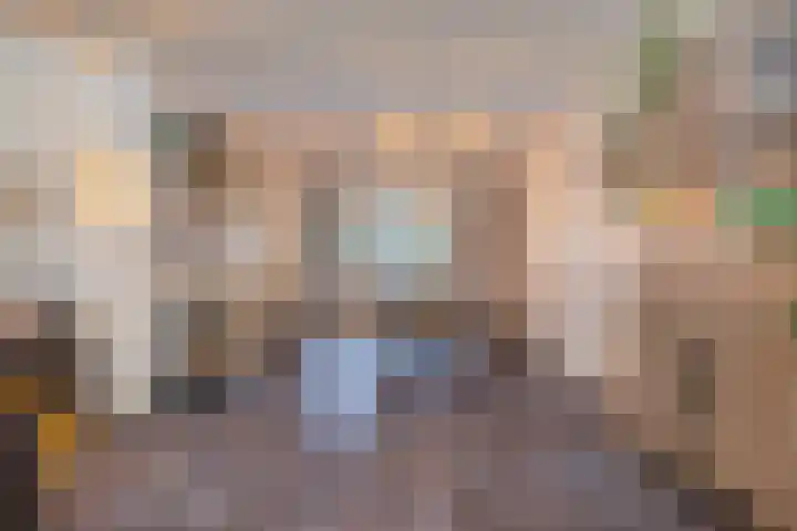 Land van Ravensteinstraat 7 Uden thumbnail 15