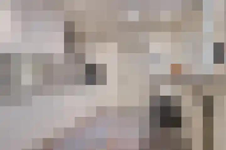 Land van Ravensteinstraat 7 Uden thumbnail 19