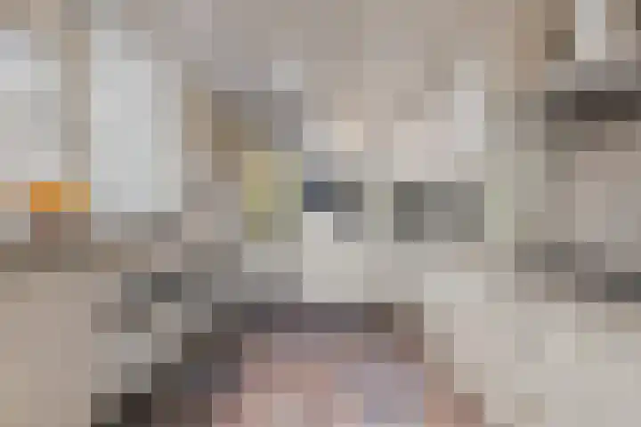 Land van Ravensteinstraat 7 Uden thumbnail 20