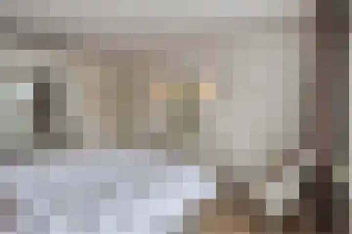 Land van Ravensteinstraat 7 Uden thumbnail 26