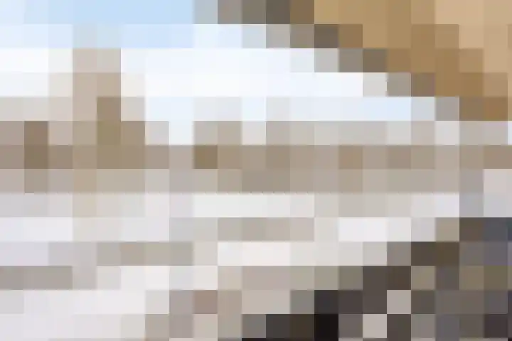 Land van Ravensteinstraat 7 Uden thumbnail 32