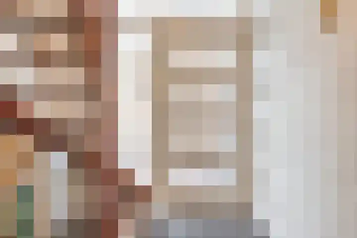 Land van Ravensteinstraat 7 Uden thumbnail 8