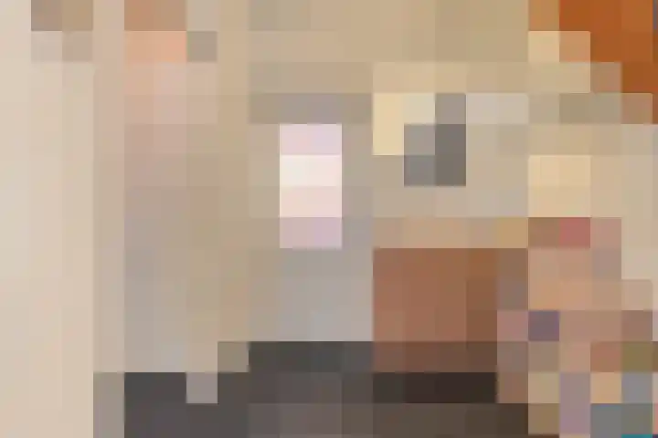 Land van Ravensteinstraat 7 Uden thumbnail 9