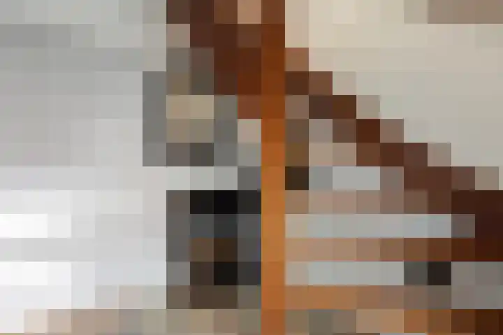 Land van Saaftinge 11 Emmeloord thumbnail 11