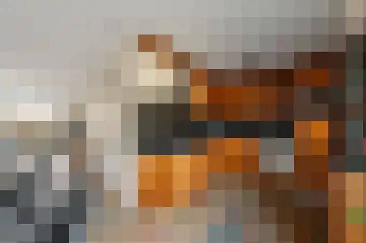 Land van Saaftinge 11 Emmeloord thumbnail 18