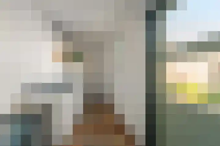 Land van Saaftinge 11 Emmeloord thumbnail 20