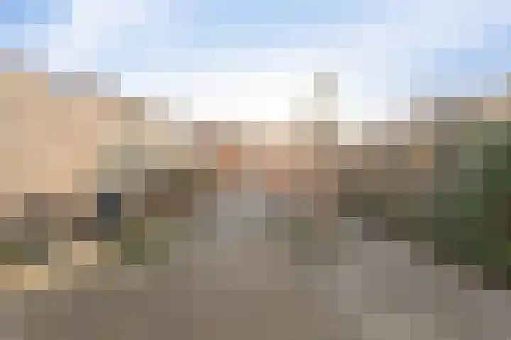 Land van Saaftinge 11 Emmeloord thumbnail 24
