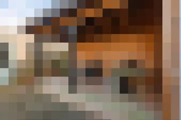 Land van Saaftinge 11 Emmeloord thumbnail 25