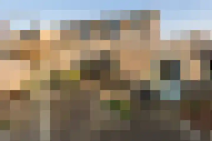 Land van Saaftinge 11 Emmeloord thumbnail 26