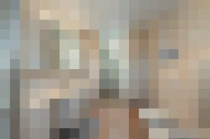 Land van Saaftinge 11 Emmeloord thumbnail 30