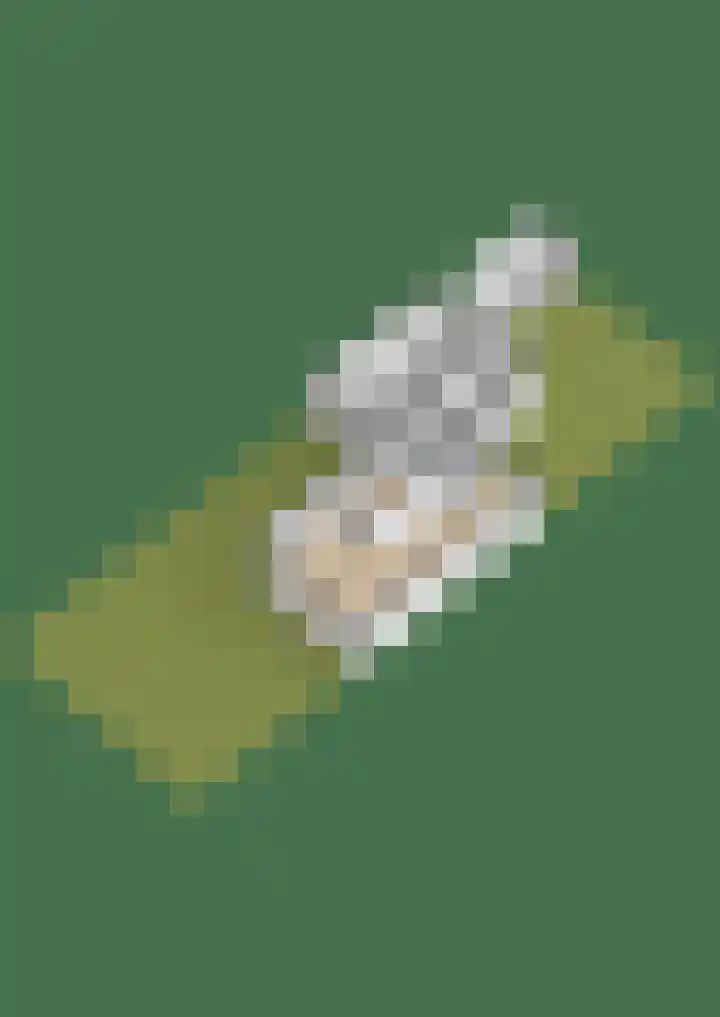Land van Saaftinge 11 Emmeloord thumbnail 55