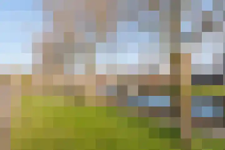 Land van Saaftinge 11 Emmeloord thumbnail 6