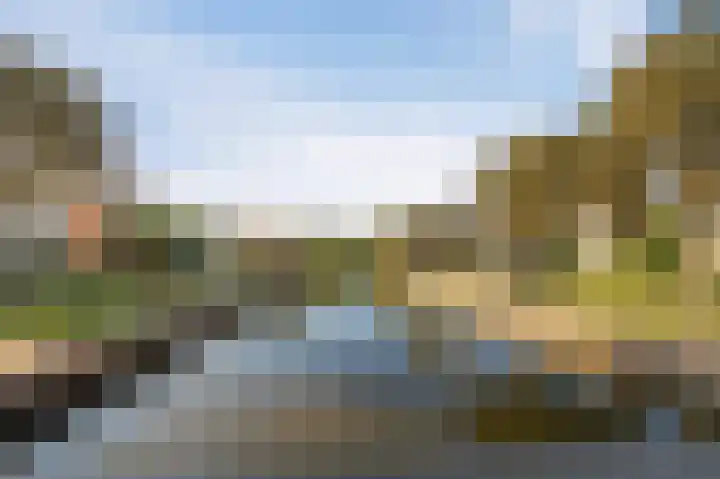 Land van Saaftinge 15 Emmeloord thumbnail 10