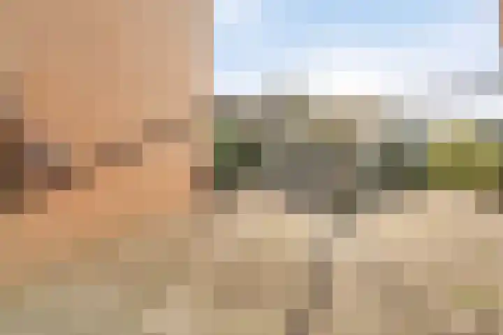Land van Saaftinge 15 Emmeloord thumbnail 13