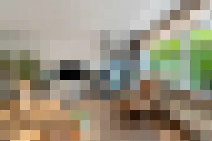 Land van Saaftinge 15 Emmeloord thumbnail 18