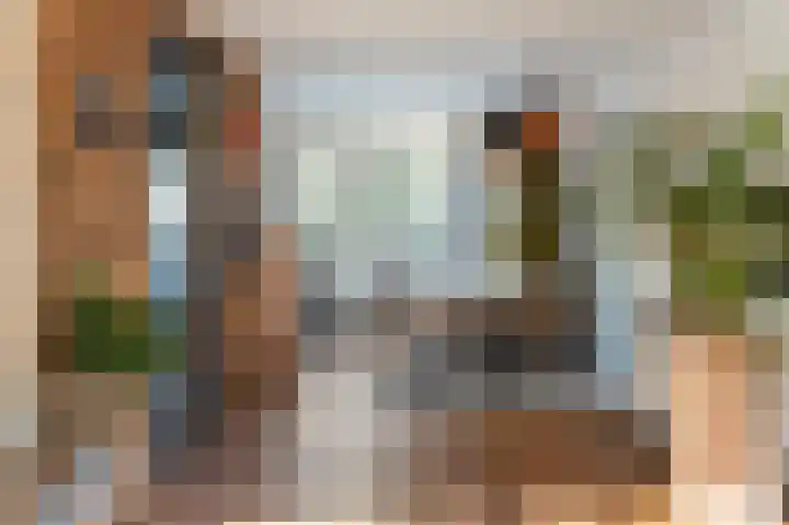 Land van Saaftinge 15 Emmeloord thumbnail 20