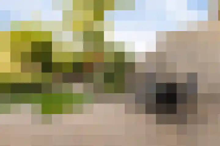 Land van Saaftinge 15 Emmeloord thumbnail 26