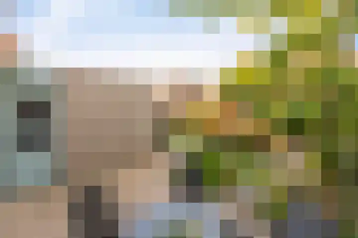 Land van Saaftinge 15 Emmeloord thumbnail 27