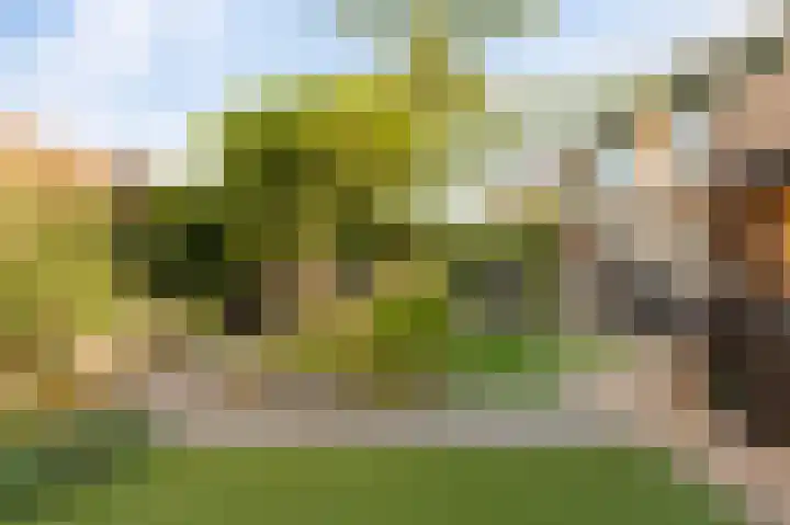 Land van Saaftinge 15 Emmeloord thumbnail 29