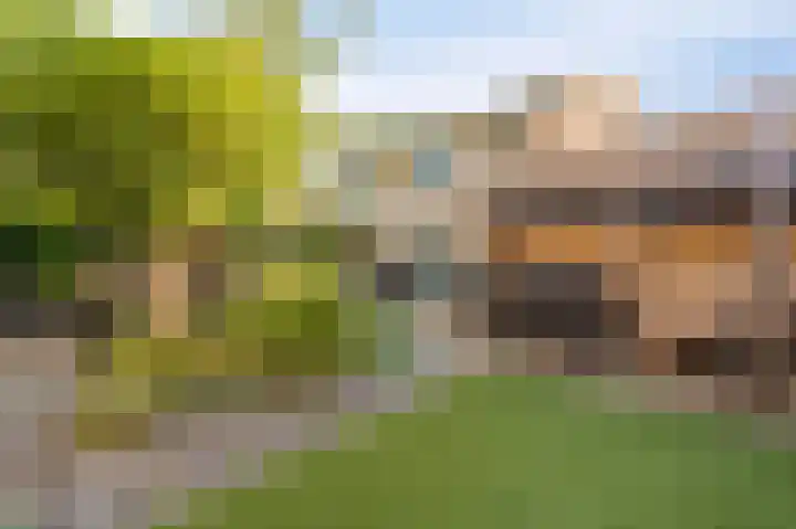 Land van Saaftinge 15 Emmeloord thumbnail 30