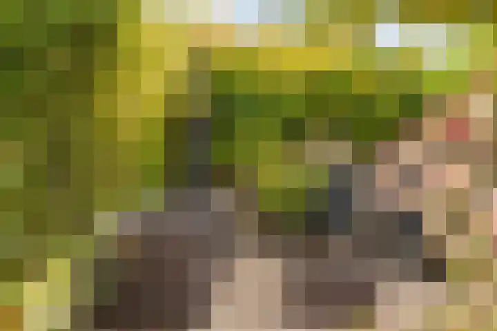 Land van Saaftinge 15 Emmeloord thumbnail 31