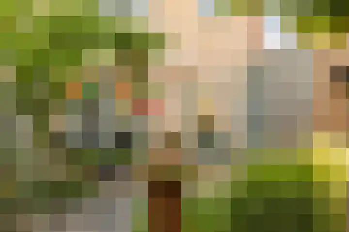 Land van Saaftinge 15 Emmeloord thumbnail 32