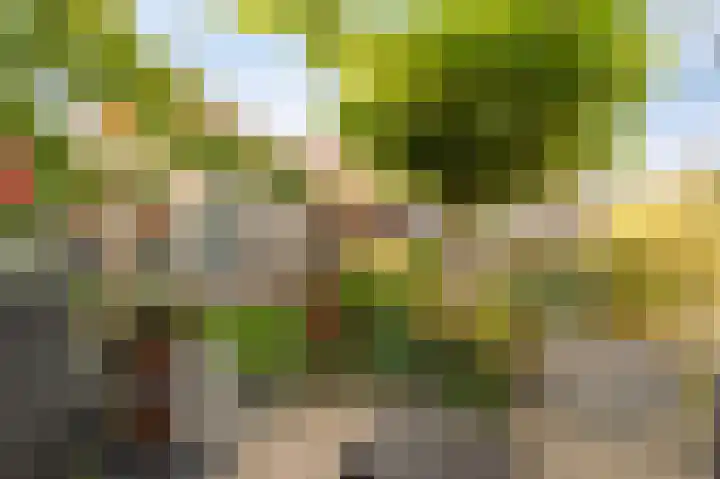 Land van Saaftinge 15 Emmeloord thumbnail 33