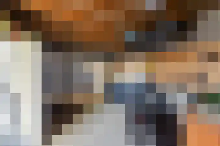 Land van Saaftinge 15 Emmeloord thumbnail 34