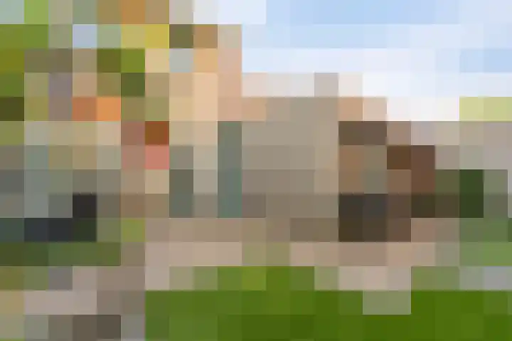 Land van Saaftinge 15 Emmeloord thumbnail 4