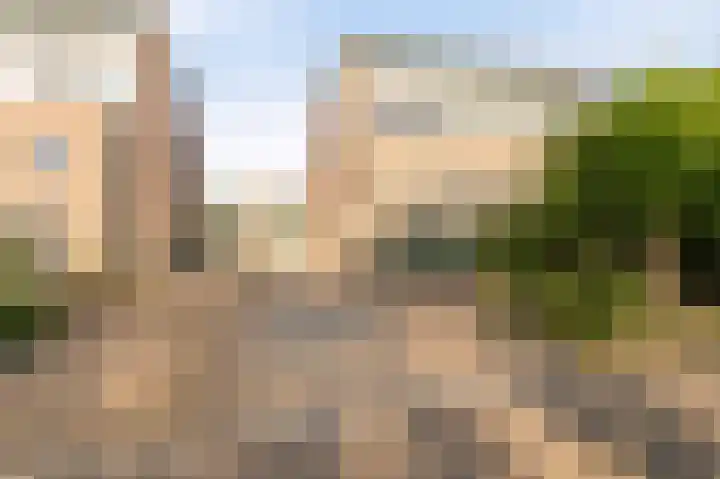 Land van Saaftinge 15 Emmeloord thumbnail 5