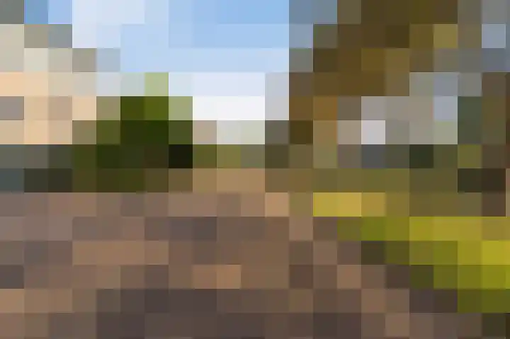 Land van Saaftinge 15 Emmeloord thumbnail 6