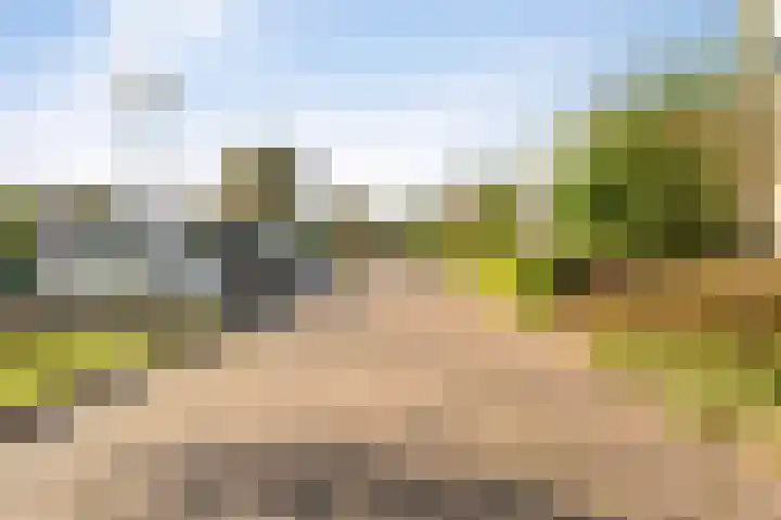 Land van Saaftinge 15 Emmeloord thumbnail 7