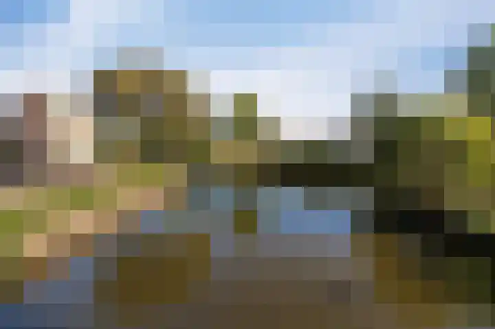 Land van Saaftinge 15 Emmeloord thumbnail 8