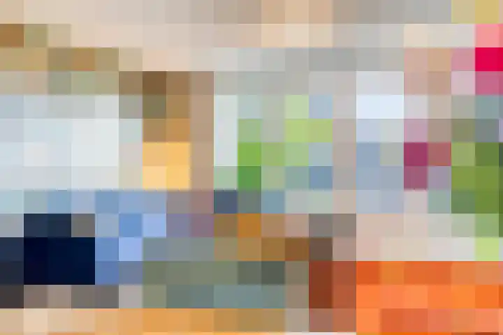 Land van Straub 32 Goes thumbnail 12