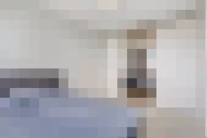 Land van Straub 32 Goes thumbnail 15