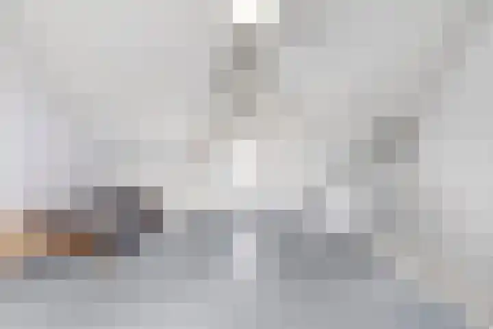 Land van Straub 32 Goes thumbnail 22