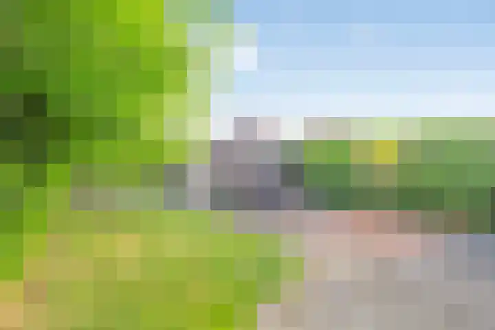 Land van Straub 32 Goes thumbnail 25