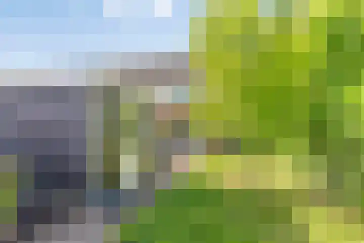 Land van Straub 32 Goes thumbnail 26
